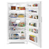 Amana Upright Freezer (AZF33X20DW) - White