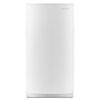 Amana Upright Freezer (AZF33X16DW) - White