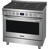 Frigidaire Professional Gas Range (PCFG3670AF) - Stainless Steel