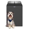 Maytag Top Load Washer (Pet Pro) (MVW6500MBK) - Volcano Black