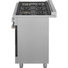 Frigidaire Professional Gas Range (PCFG3670AF) - Stainless Steel